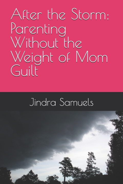 Libro After the Storm Jindra Samuels