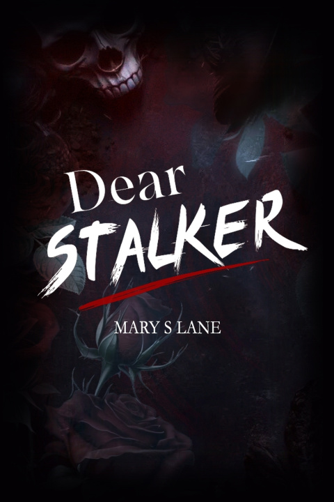 Kniha Dear Stalker Mary S Lane