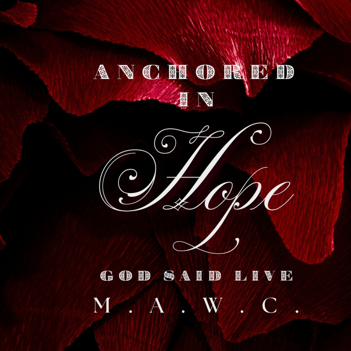 Kniha Anchored In Hope Michelle Woodruff Cooper