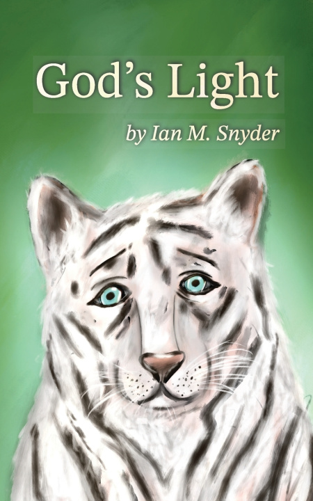 Kniha God's Light Ian M Snyder