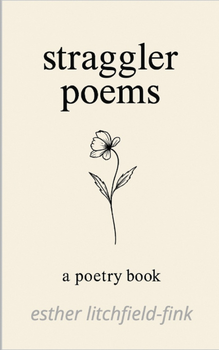 Kniha Straggler Poems Esther Litchfield-Fink