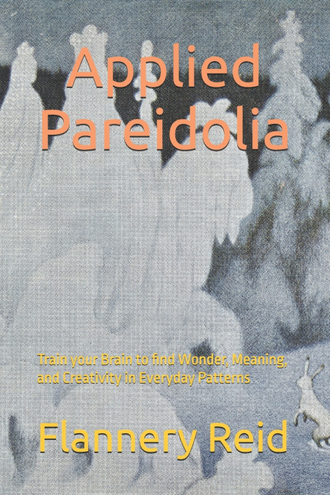 Kniha Applied Pareidolia Flannery Reid