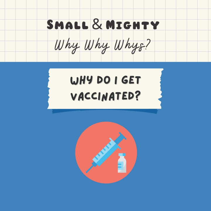 Kniha Small & Mighty Why Why Whys Cat's Cozy Corner