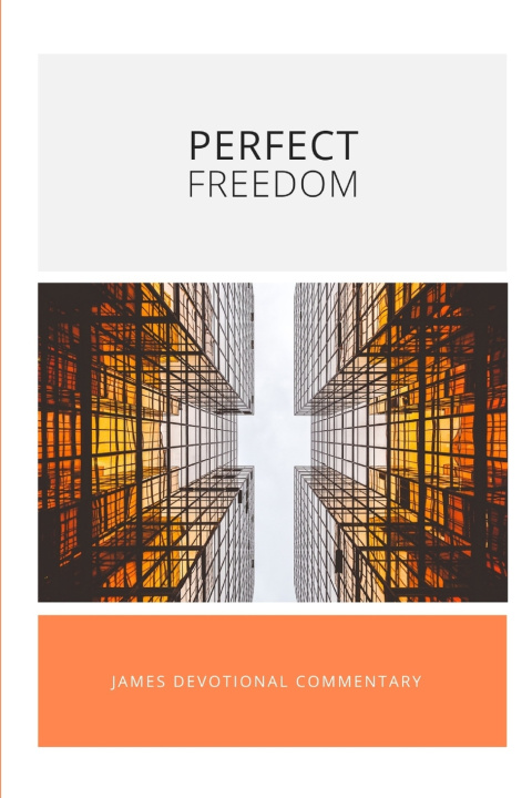 Boek Perfect Freedom Vincent Law