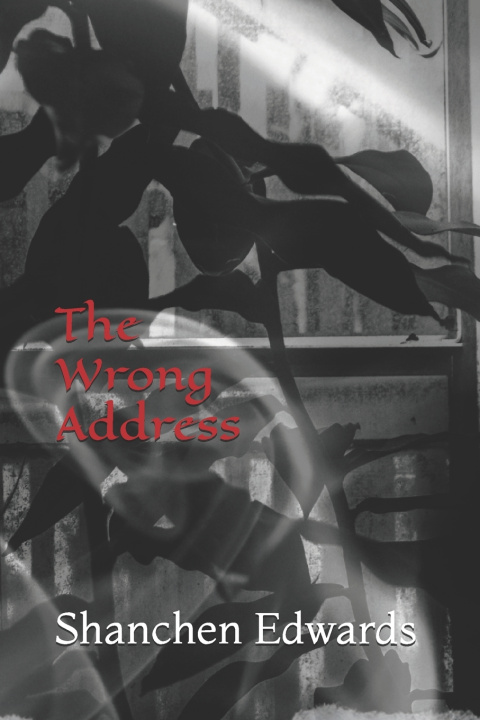 Kniha The Wrong Address Shanchen Edwards