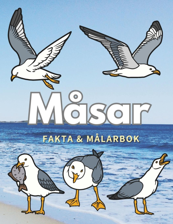 Kniha Måsar Steven Book