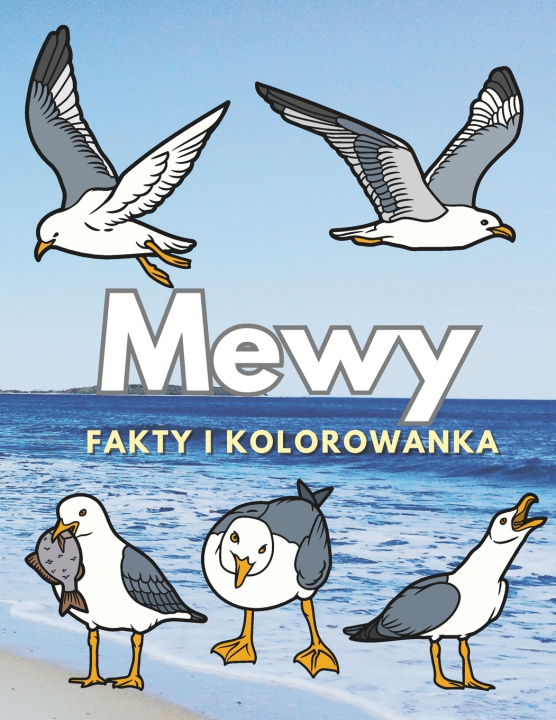 Kniha Mewy Steven Book