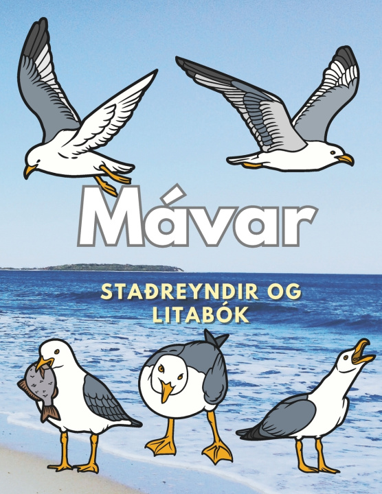 Kniha Mávar Steven Book