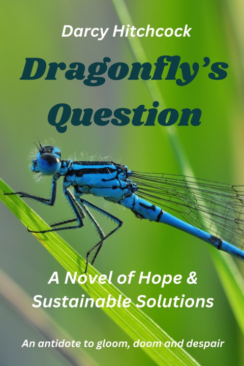 Kniha Dragonfly's Question Darcy Hitchcock