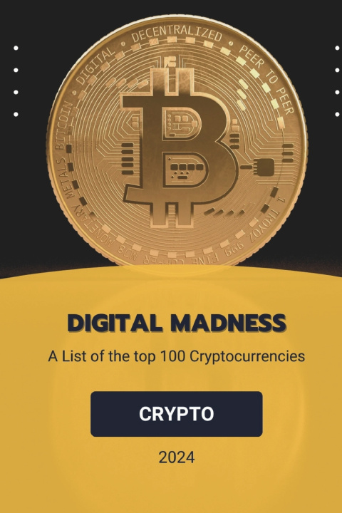Kniha DIGITAL MADNESS Qdix Press