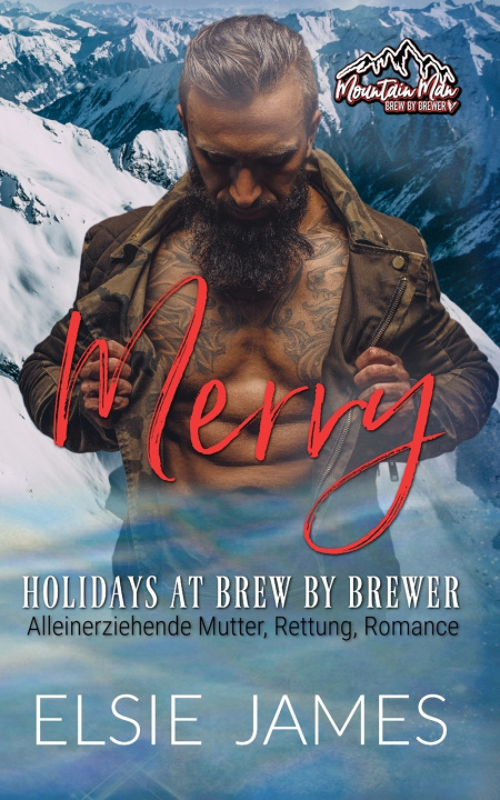 Kniha Merry Holidays at Brew by Brewer Elsie James