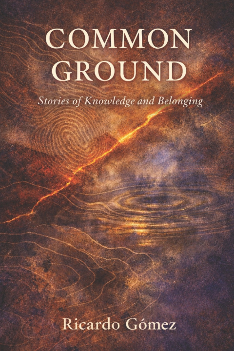 Kniha Common Ground Ricardo Gomez