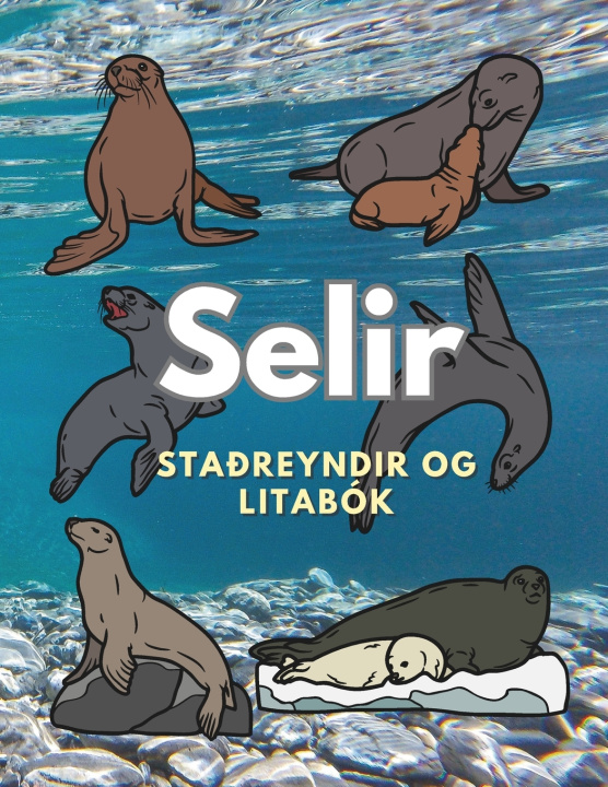 Kniha Selur Steven Book