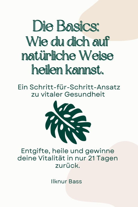 Kniha Die Basics Ilknur Bass