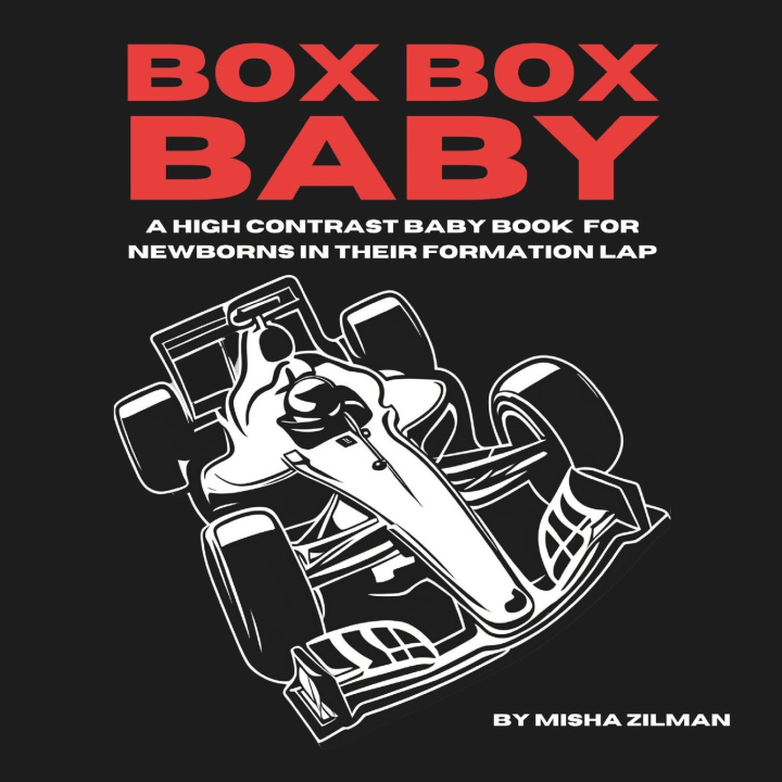 Kniha Box Box Baby Misha Zilman