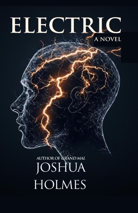 Kniha Electric Joshua Holmes