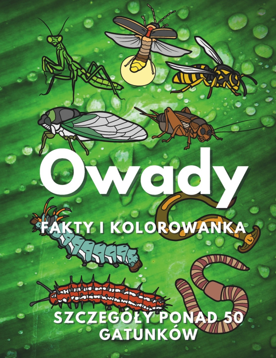 Kniha Owady Steven Book