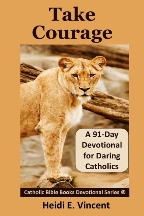 Kniha TAKE COURAGE Heidi E. Vincent