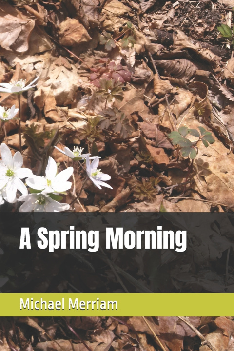 Kniha A Spring Morning Michael Merriam