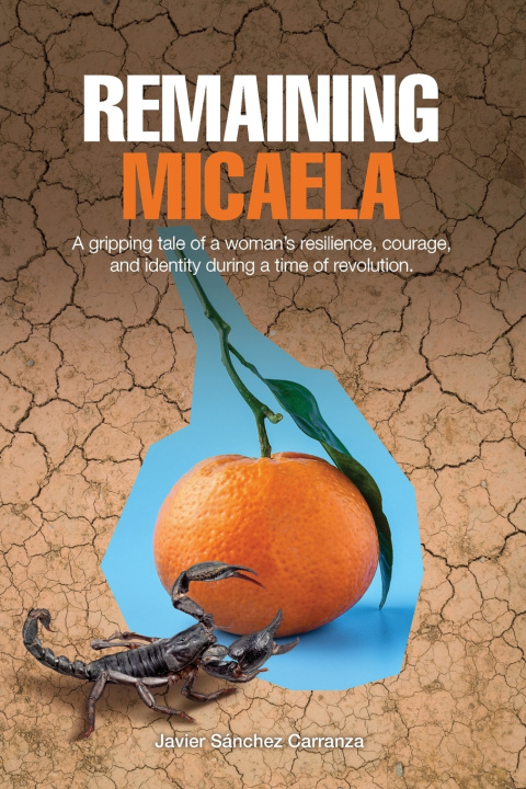 Kniha Remaining Micaela Javier Sánchez Carranza