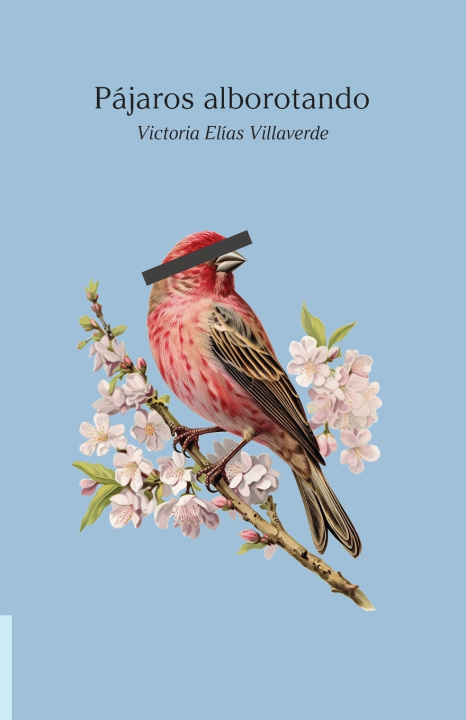 Kniha Pájaros alborotando Victoria Elías Villaverde