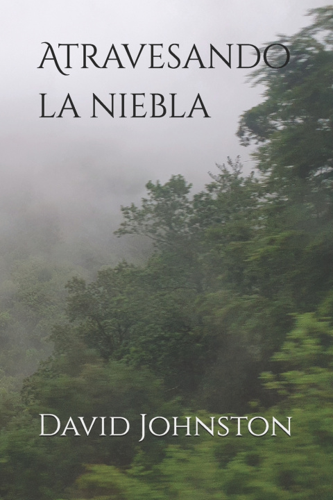 Kniha Atravesando la niebla David Gordon Johnston