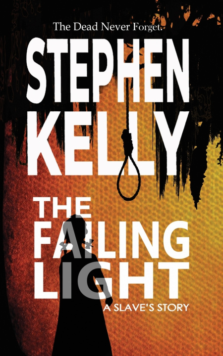Buch The Failing Light Stephen Kelly