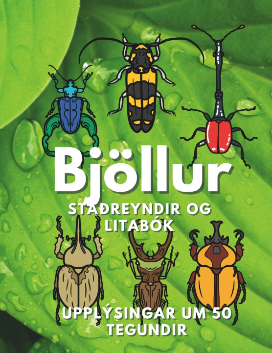 Kniha Bjöllur Steven Book