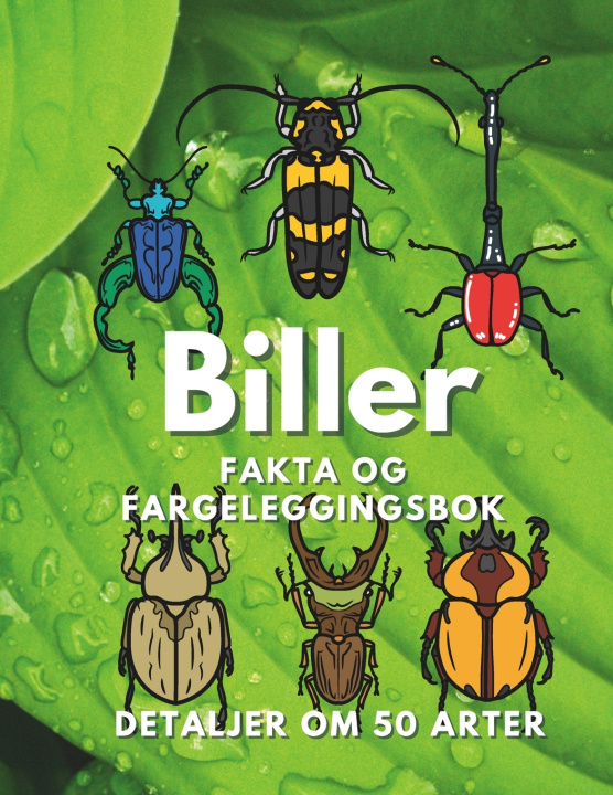 Kniha Biller Steven Book