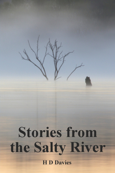 Kniha Stories From the Salty River H D Davies