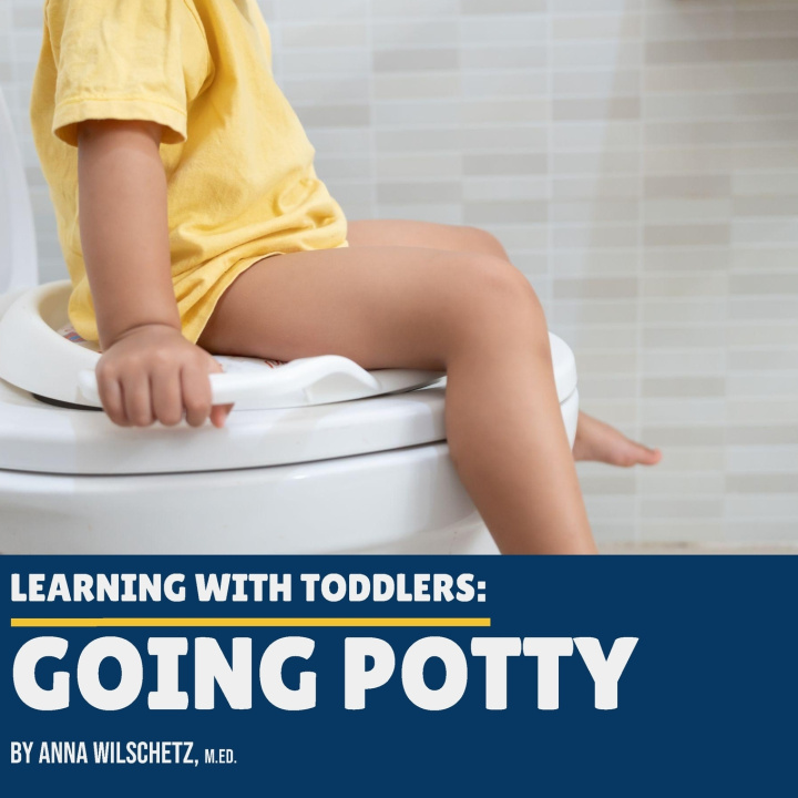 Kniha Learning With Toddlers Anna G Wilschetz