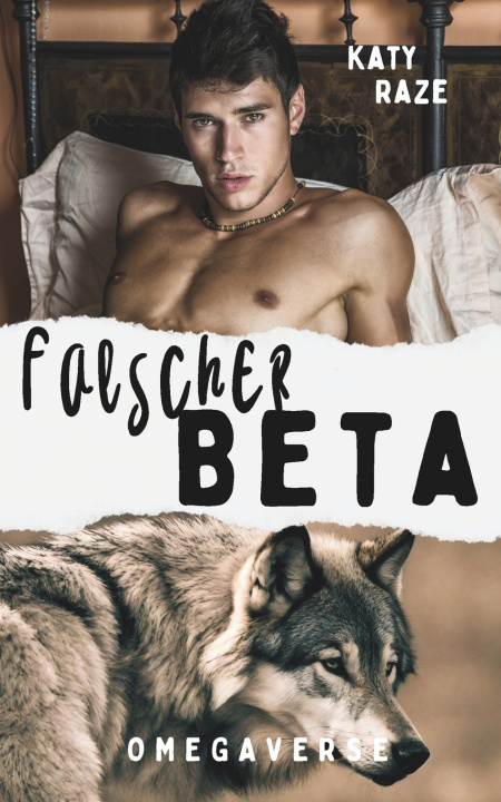 Kniha Falscher Beta Katy Raze