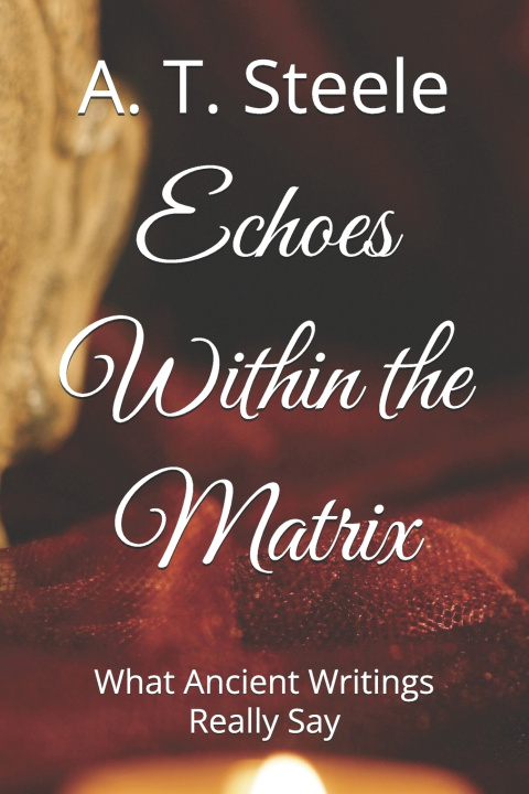 Kniha Echoes Within the Matrix A. T. Steele