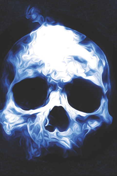 Könyv The Blue Skull J.B. Dzagan