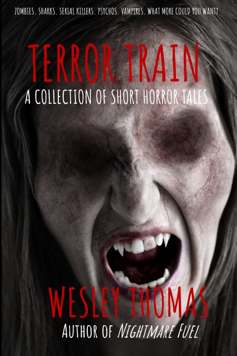 Könyv Terror Train Wesley Thomas