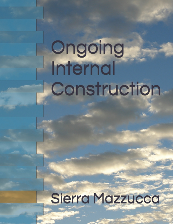 Kniha Ongoing Internal Construction Sierra Mazzucca