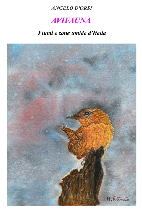Boek AVIFAUNA Angelo D'Orsi