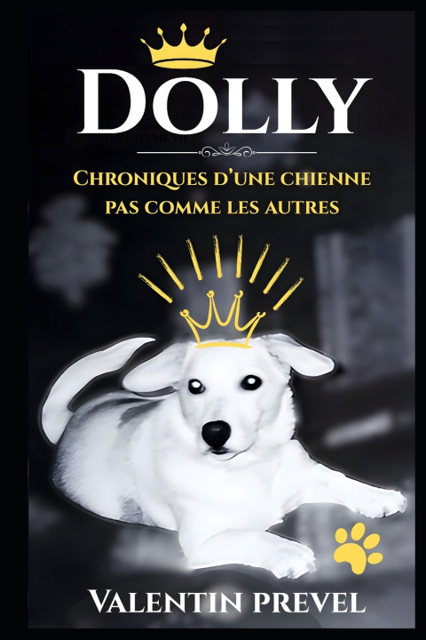 Kniha Dolly valentin prevel