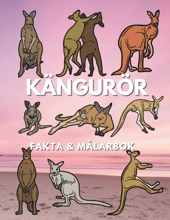 Buch Kängurur Steven Book