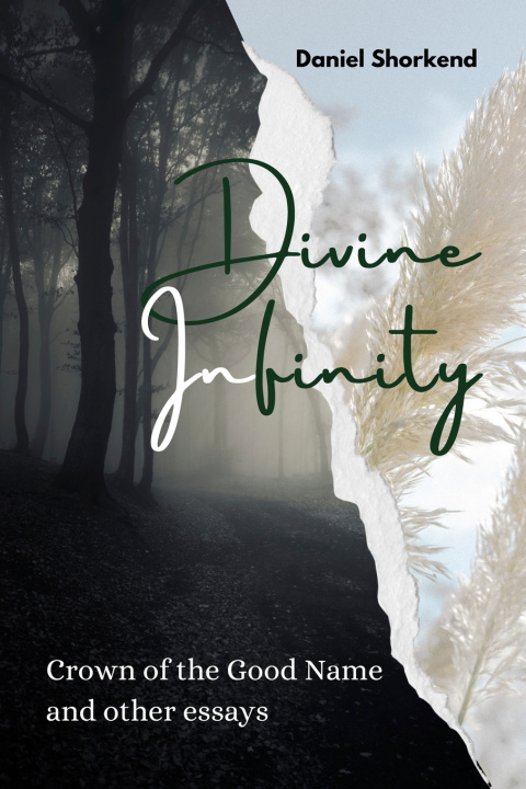 Kniha Divine Infinity Daniel Shorkend