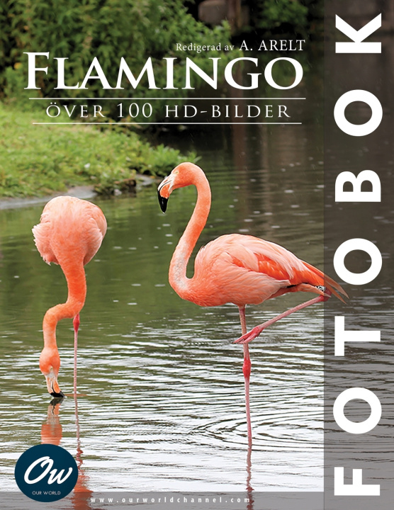 Könyv Flamingo A Arelt