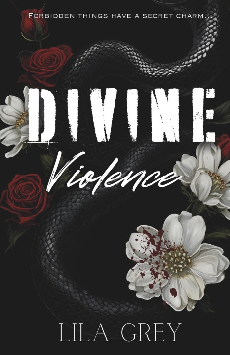Kniha Divine Violence Lila Grey