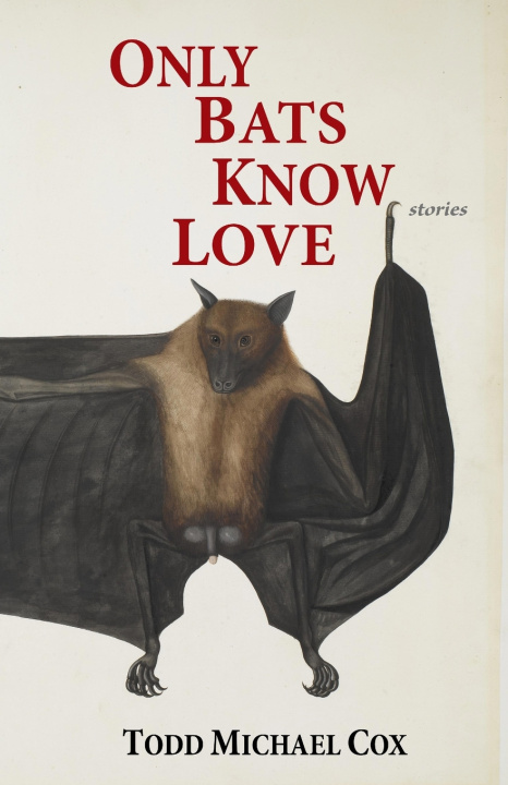 Kniha Only Bats Know Love Todd Michael Cox