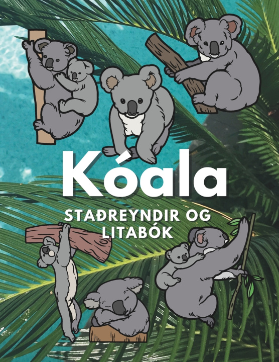Kniha Kóala Steven Book