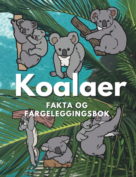 Kniha Koalaer Steven Book