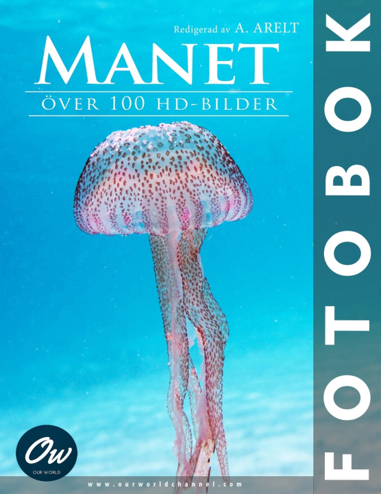 Kniha Manet A Arelt