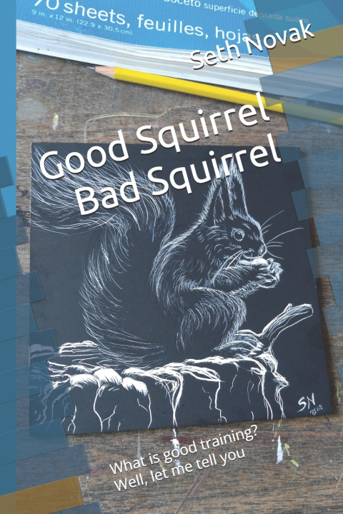 Kniha Good Squirrel Bad Squirrel Seth Novak