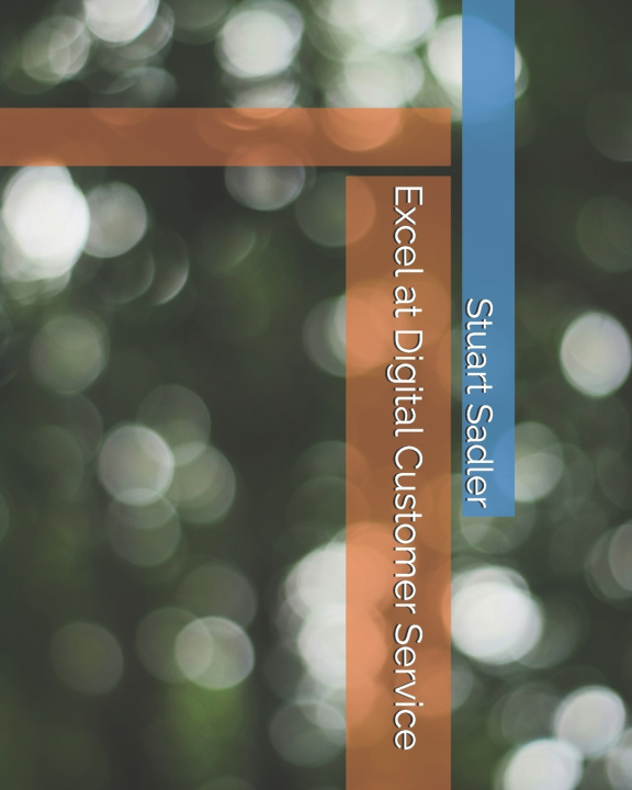 Kniha Excel at Digital Customer Service Stuart Sadler