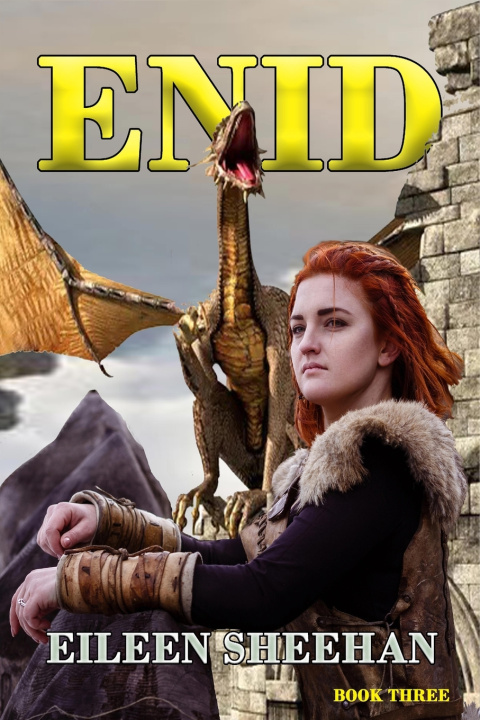 Kniha ENID (Book 3) Eileen Sheehan