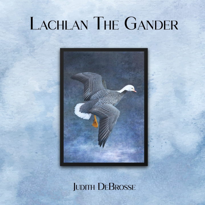 Kniha Lachlan The Gander Judith Debrosse